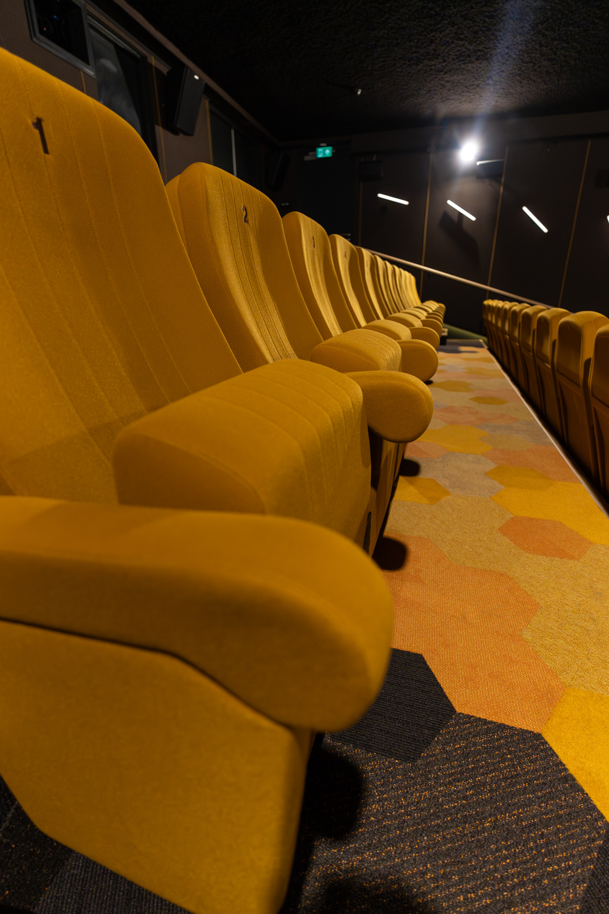 FilmTheater FilmkrantDag-011.jpg